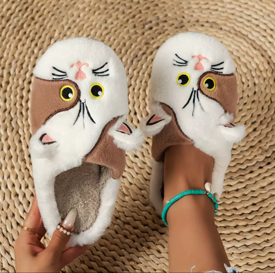 Cat Slides